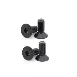 Tornillos de Cabeza Frontal Kit de Tornillos fijos de Acero Inoxidable 4 PCS