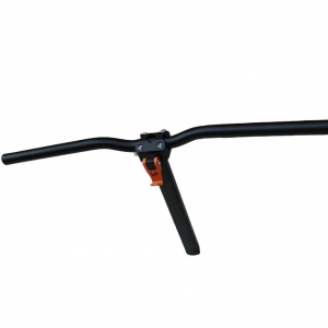 Manilla compatible SmartGyro Ryder